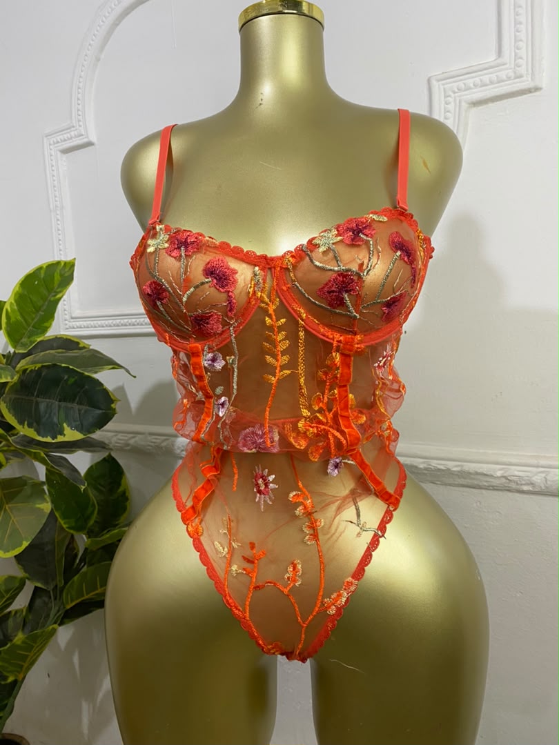 Bodysuit transparent