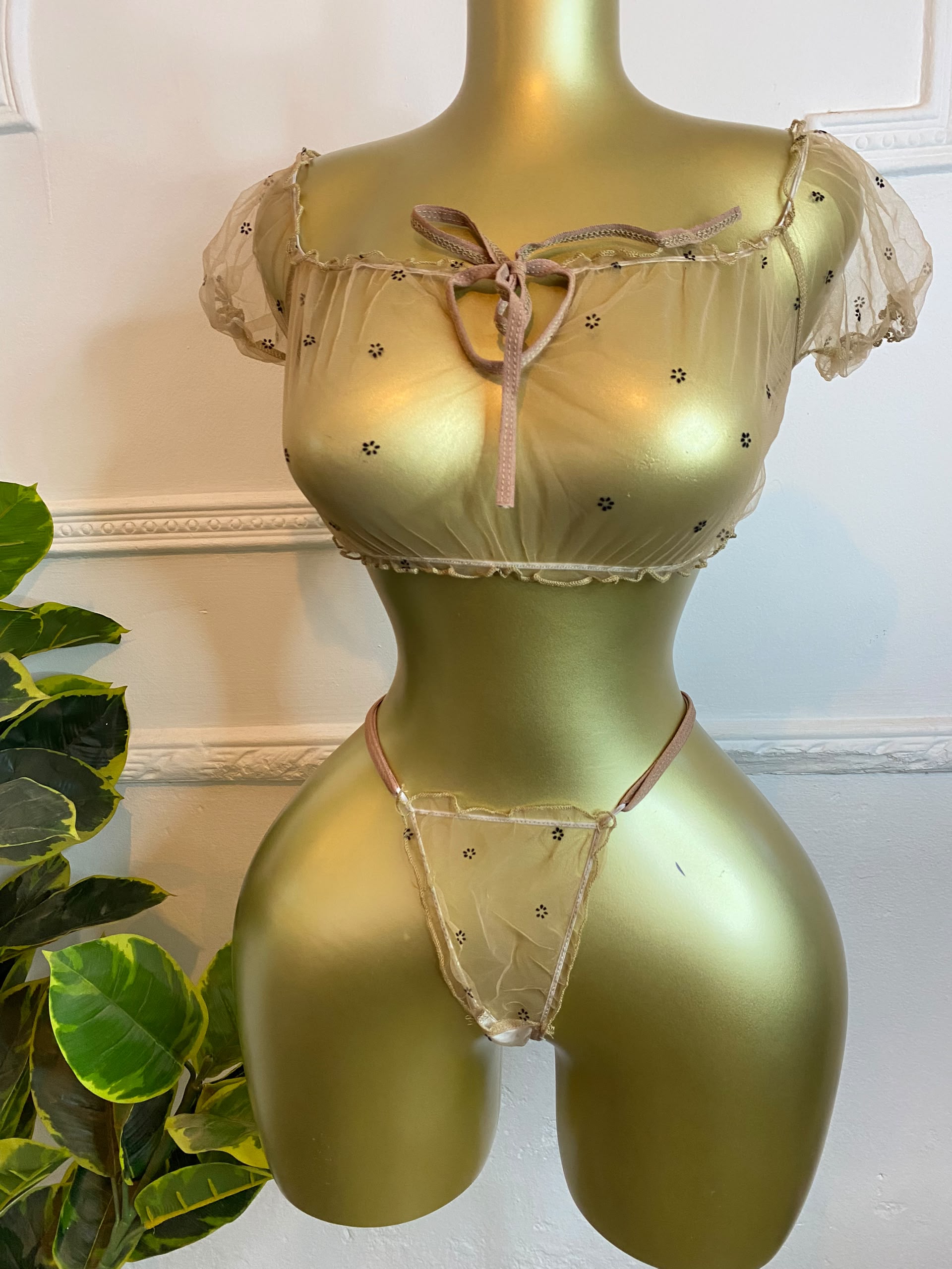 Ensemble body-string