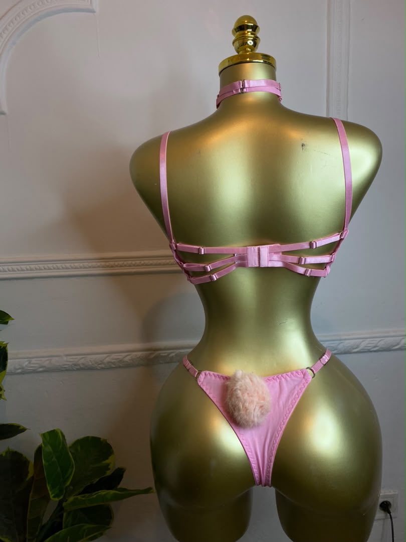 Lingerie